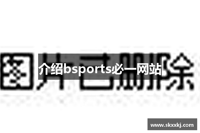 介绍bsports必一网站